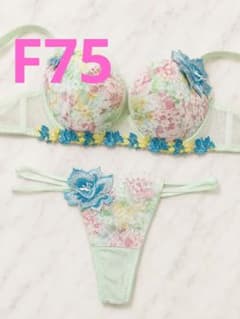 ☆Wacoal Salute F75 M 32G ブラジャー＆ソング☆サルートのサムネイル