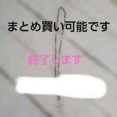 コメントした人のみです7月いっぱいで終了します。シルバーカラー 