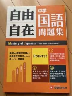 中学自由自在問題集 国語 基礎から難関校突破まで自由自在の実力をつけるスーパー…のサムネイル