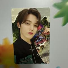 m70556298375_1.jpg?1718635595