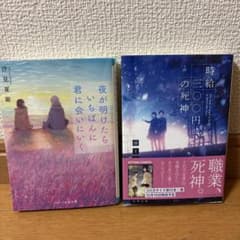 恋愛小説 まとめ売り 全20巻 恋愛小説 2冊まとめ売り - メルカリ