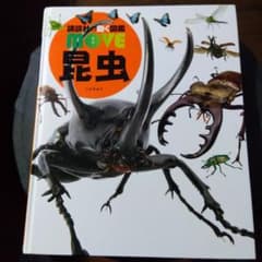 講談社の動く図鑑 MOVE 昆虫　DVD付きのサムネイル
