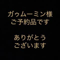 増量タイプ　枝付きかすみ草　ドライフラワー　5色アソートのサムネイル