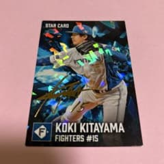 プロ野球チップス　日本ハム　北山亘基　スターカード　金箔サイン　ホロ加工仕様のサムネイル