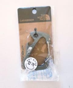 韓国限定 ノースフェイス韓国 カラビナ グレー 新品 日本未発売