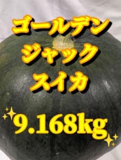 675匿名発送！千葉県産ゴールデンジャックスイカ　高糖度１玉 9.168kgのサムネイル