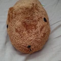[카피바라씨]도 푹 봉제인형
