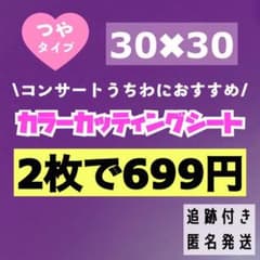 艶あり うちわ用 規定外 対応サイズ カッティングシート 紫　2枚