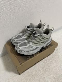 Salomon acs pro advanced frost grayのサムネイル