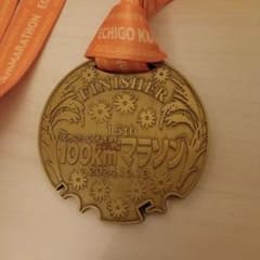 えちご・くびき野100kmマラソン メダル 2024 - メルカリ