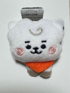 BT21 RJ 파미마 봉제인형 배지
