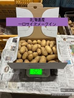 北海道産 一口サイズメークイン 約1.5kgのサムネイル