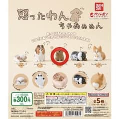【美品】怒ったわんちゃぁぁぁん（ガチャガチャ）のサムネイル