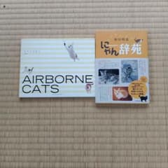 にゃん辞苑　そらとぶねこのサムネイル