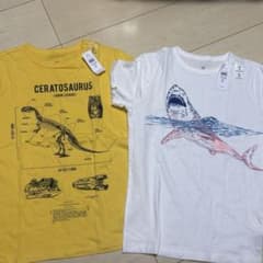 セラトサウルスTシャツとサメTシャツセットのサムネイル