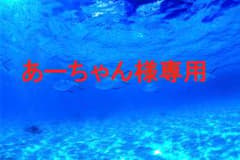 【あーちゃん様専用です】のサムネイル