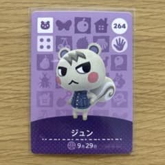 amiiboカード ジュン あつまれどうぶつの森 【匿名配送】 - メルカリ