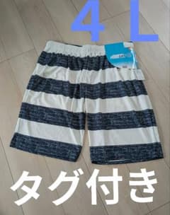 [태그 첨부] FIBER DRY 테두리 무늬 반바지 4L