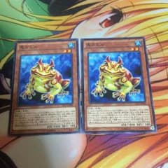 鬼ガエル 2枚のサムネイル