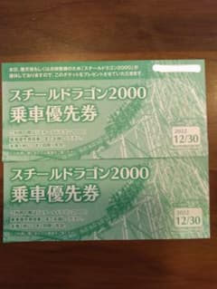 ナガシマスパーランド　スチールドラゴン2000　乗車優先券のサムネイル