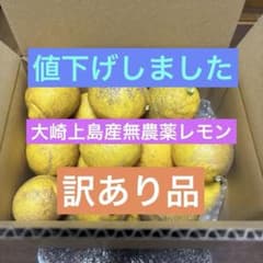大崎上島産無農薬レモン20のサムネイル
