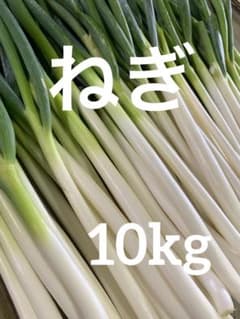 ねぎ 10kgのサムネイル
