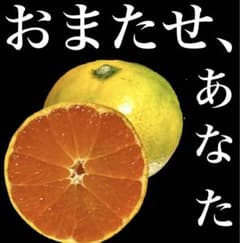 みかん 10kgのサムネイル