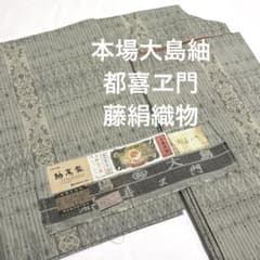 本場大島紬【都喜ヱ門】藤絹織物 紬萬葉 正絹 証紙付 袷着物 ステンド