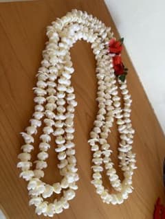 フラダンス　ピカケレイ2連