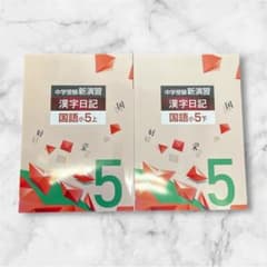 ⭐️上下セット⭐️漢字日記 小5 中学受験 新演習 国語 塾教材 新品
