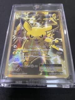 専用　ピカチュウセットのサムネイル