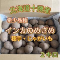 北海道十勝産 インカのめざめ 種芋 2キロ 【希少品・無農薬栽培