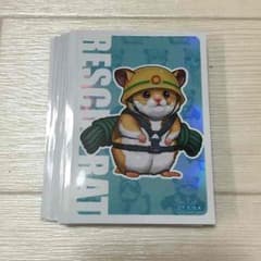 楓様専用のサムネイル