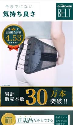 正規品！ガードナーベルトLサイズのサムネイル