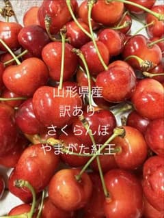 山形県産 ②訳あり さくらんぼ やまがた紅王のサムネイル