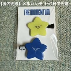헤어 클립 [도영] NCT127 THE MOMENTUM