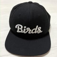 BIRDS OF CONDOR バーズオブコンドル ロゴキャップ 窪塚洋介