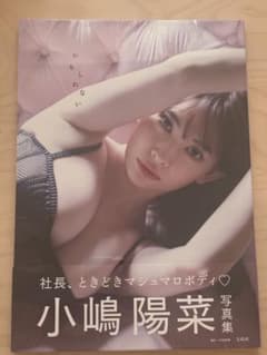 小嶋陽菜 写真集 かもしれない 【新品未開封】のサムネイル