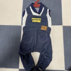 デニム　ミッキーミニーのサムネイル