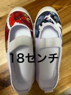 ハンドメイド　ポケモン　うわばき　18センチのサムネイル