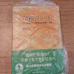 子育てはいま 前田正子 岩波書店