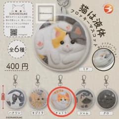 猫は液体　フロッキーマスコット【チャトラ】のサムネイル