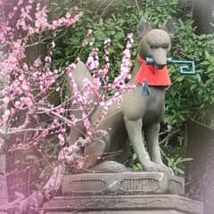 美玖さま専用ヘアケアのサムネイル
