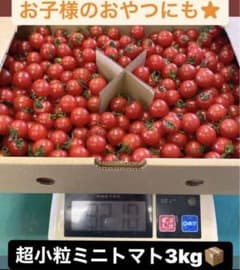 【値下げ！】超小粒甘くて濃厚ミニトマト 箱込み3kgのサムネイル
