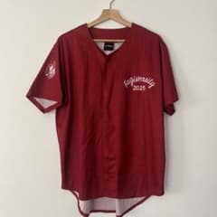 ファジアーノ岡山のシャツです。 他にも出品している為、まとめ買いの場合割引しますのサムネイル