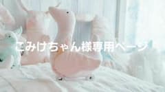 お客様専用オーダーページのサムネイル