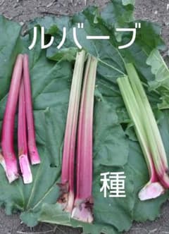 おはな様 リクエスト 2点 まとめ商品のサムネイル