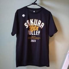 ⭐️レア物⭐️デサントバレーボールTシャツ2枚　高校選抜JAPAN デサント さくらバレーTシャツ 2023 バレーボールシャツ Oサイズ