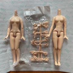 アイシードール　稼働ボディのサムネイル