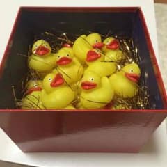 うきうきあひるのサムネイル